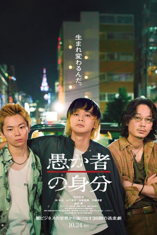 Danh Tính Của Kẻ Ngốc (BAKA's Identity)