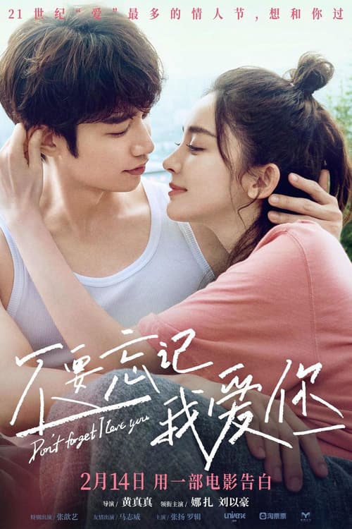 Đừng Quên Anh Yêu Em (Don't Forget I Love You)