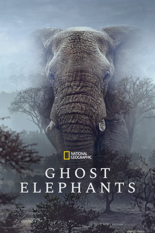 Ghost Elephants (Ghost Elephants)