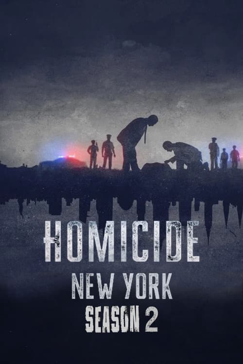 Homicide: Án mạng (Phần 3) (Homicide (Season 3))
