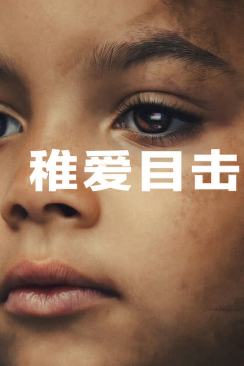 Nhân Chứng Duy Nhất (The Witness)