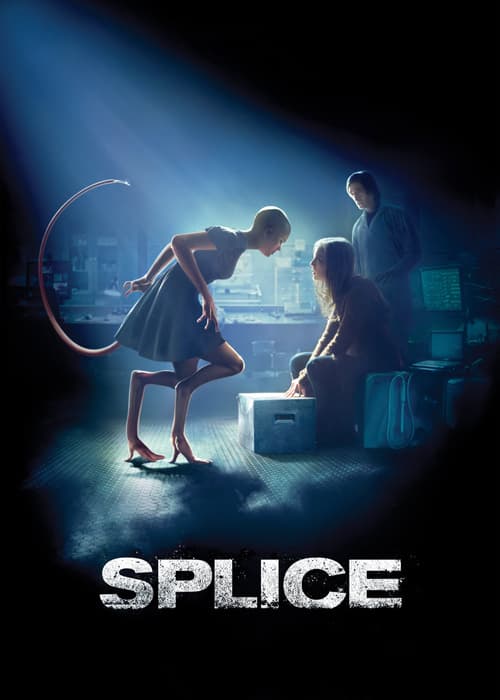 Splice (Splice)