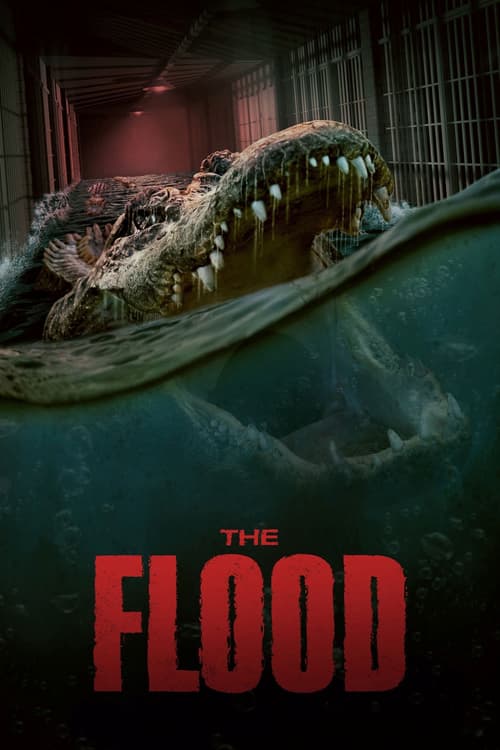 The Flood (The Flood)